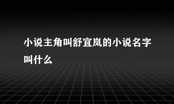 小说主角叫舒宜岚的小说名字叫什么