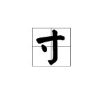 寸有哪些偏旁的字