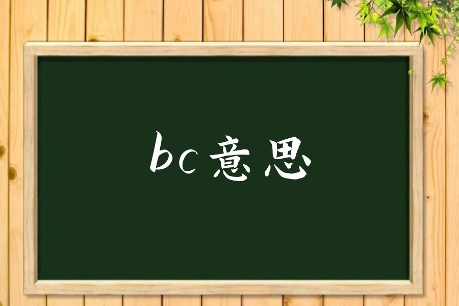 bc是什么意思啊