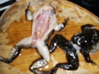 石鳞怎么炖才有营养