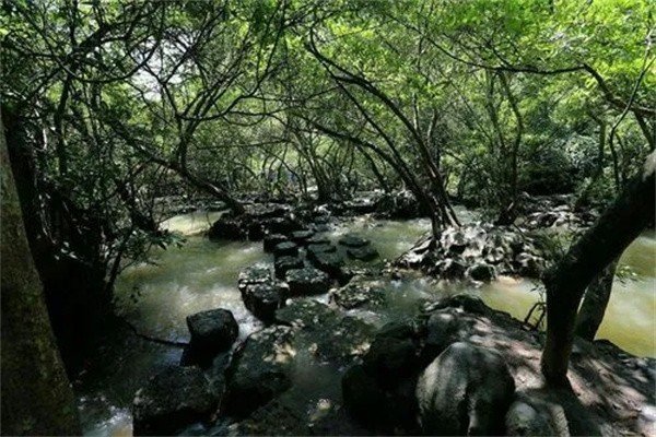 龙潭虎穴是什么意思