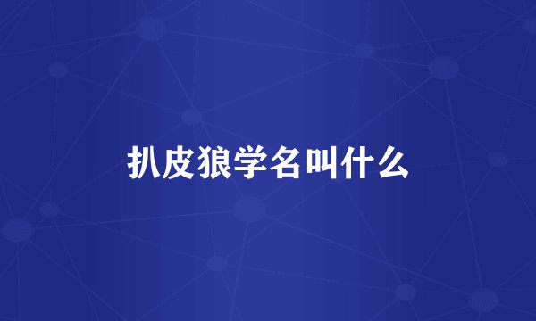 扒皮狼学名叫什么