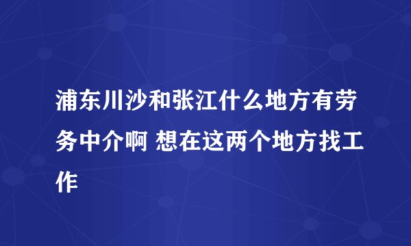 浦东川沙和张江什么地方有劳务中介啊 想在这两个地方找工作