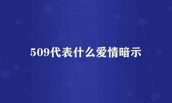 509代表什么爱情暗示