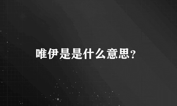 唯伊是是什么意思？