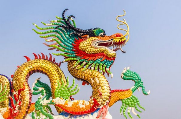 2024重孝什么属相