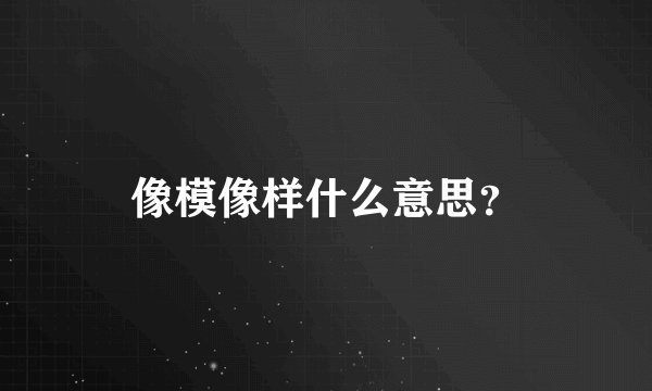 像模像样什么意思？