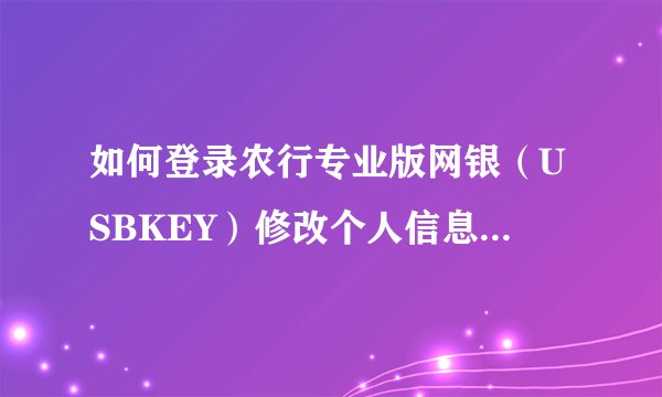 如何登录农行专业版网银（USBKEY）修改个人信息，手机号修改