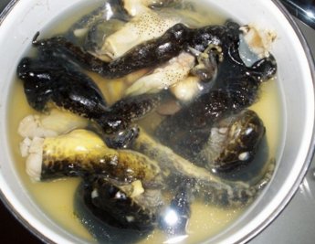 石鳞怎么炖才有营养