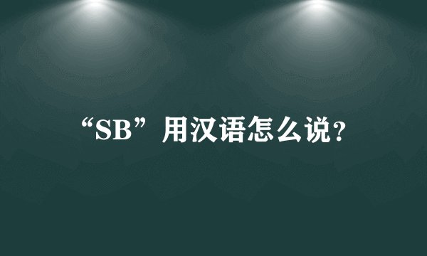 “SB”用汉语怎么说？