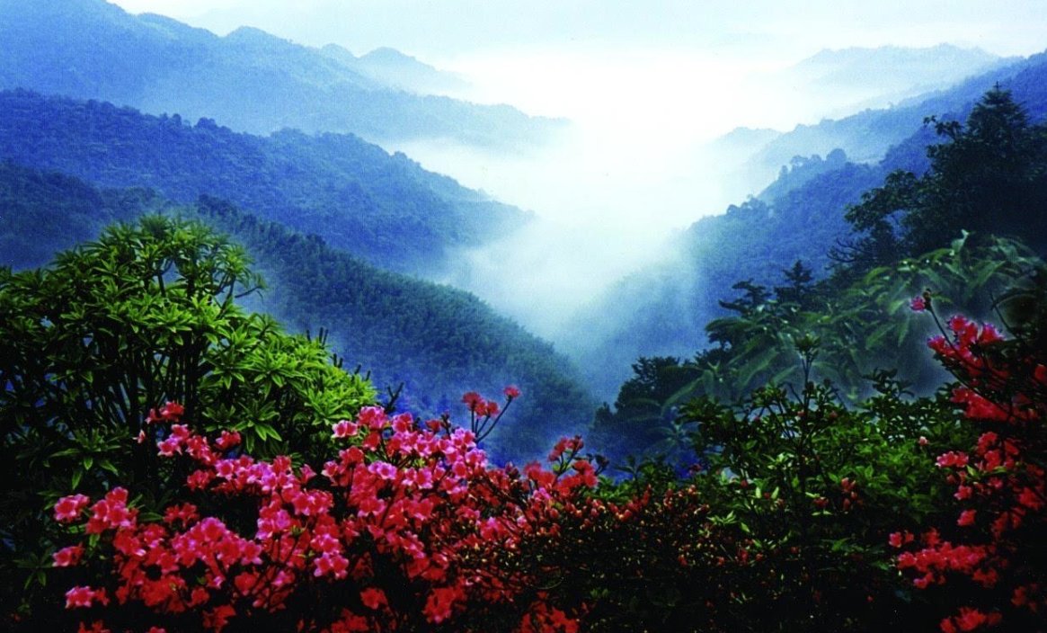 ………，比如………造句