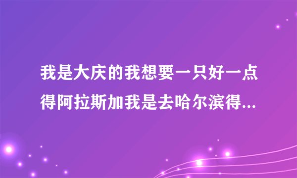 我是大庆的我想要一只好一点得阿拉斯加我是去哈尔滨得东方犬苑买还是去天宇基地买呢？