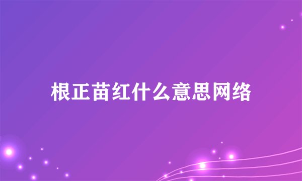 根正苗红什么意思网络