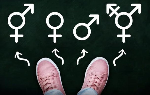 TS女孩是什么意思？