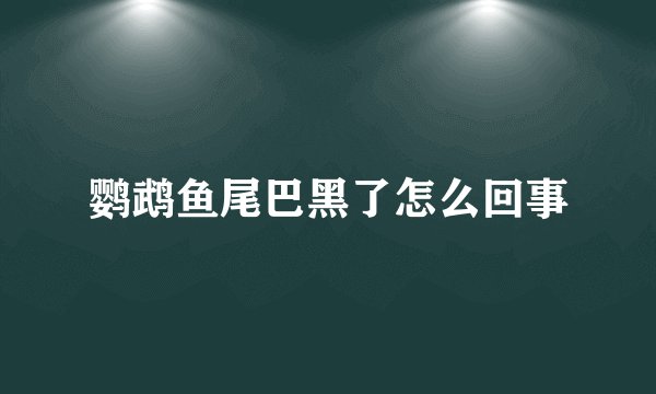鹦鹉鱼尾巴黑了怎么回事