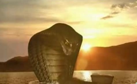 想找一个美国电影，大概讲的是一伙人去某个埃及陵墓里冒险，他们中有个小孩，有一条蛇保护他，这个小孩是