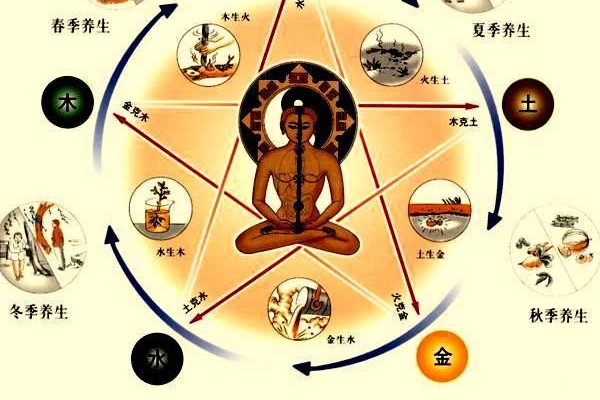 土生金还是金生土