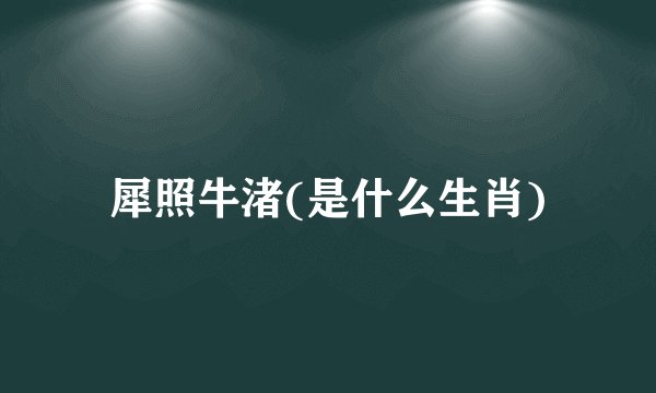 犀照牛渚(是什么生肖)
