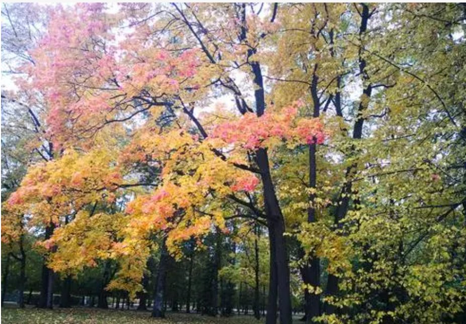 什么的季节一年级