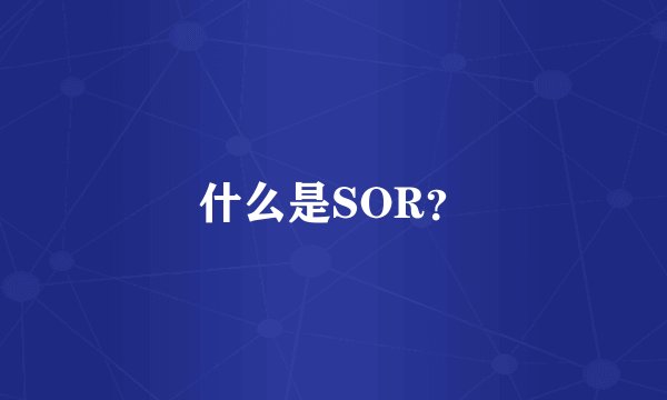 什么是SOR？