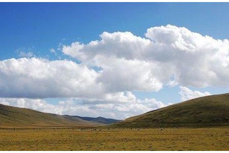 “浅喜似苍狗，深爱如长风”是什么意思？