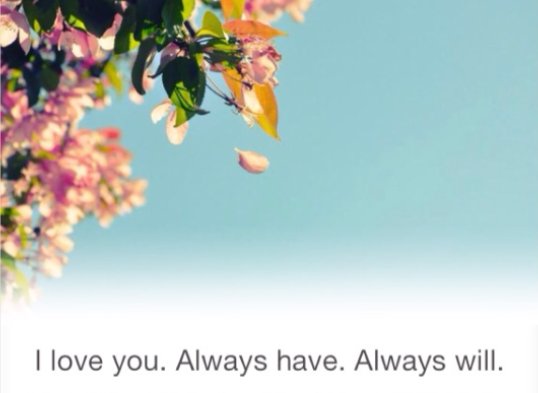 always have alway will什么意思，别用翻译器！