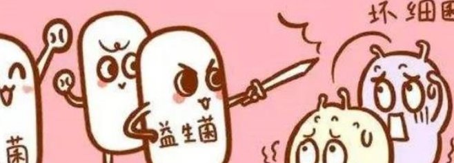 爷青结是什么意思？