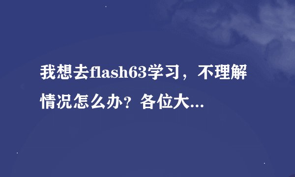 我想去flash63学习，不理解情况怎么办？各位大神有没有好的建议呀。。。。