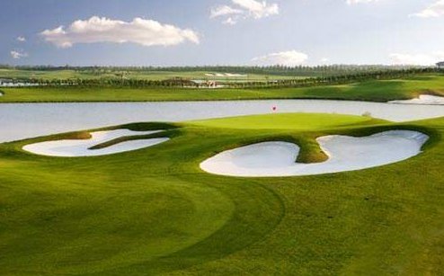 高尔夫果岭是什么？