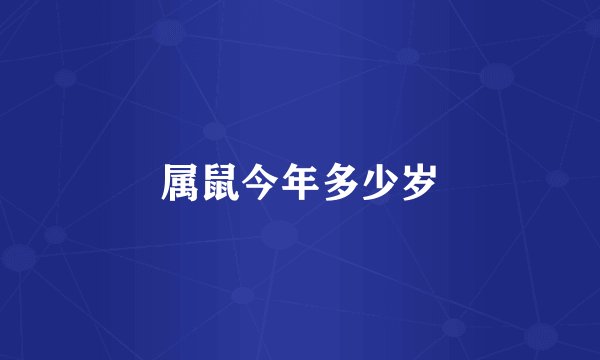 属鼠今年多少岁