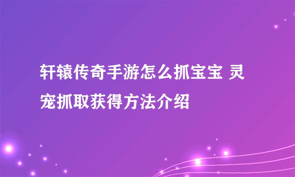 轩辕传奇手游怎么抓宝宝 灵宠抓取获得方法介绍
