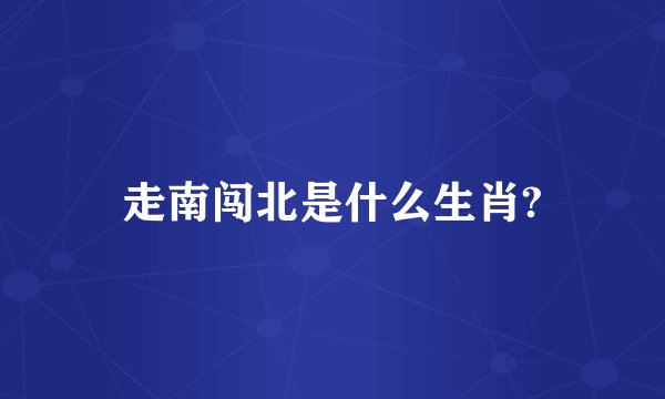 走南闯北是什么生肖?