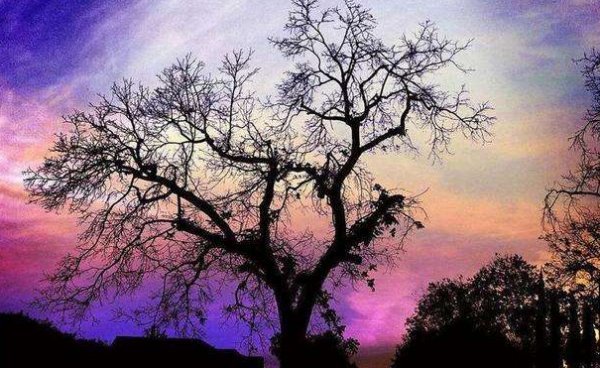 现代诗短一点的20字？