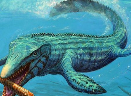 上龙和沧龙的区别是什么?