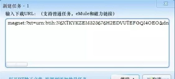 磁力链的格式和种类是什么意思？
