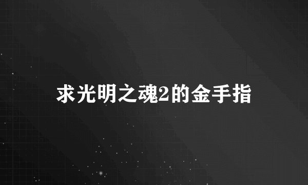 求光明之魂2的金手指