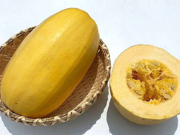 为什么没有北瓜