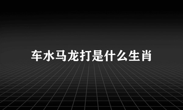 车水马龙打是什么生肖