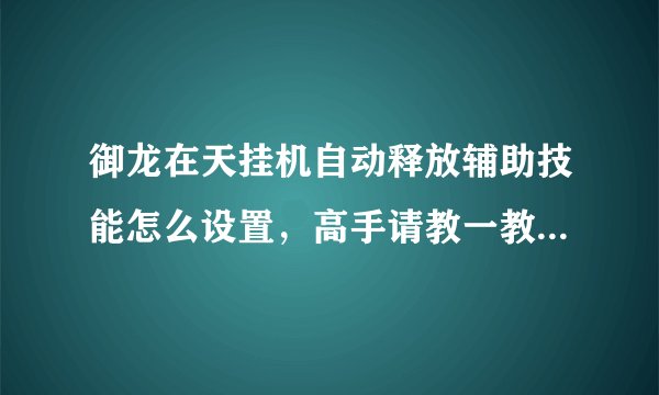 御龙在天挂机自动释放辅助技能怎么设置，高手请教一教！！！在线等!!
