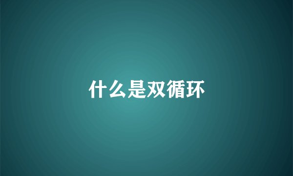 什么是双循环