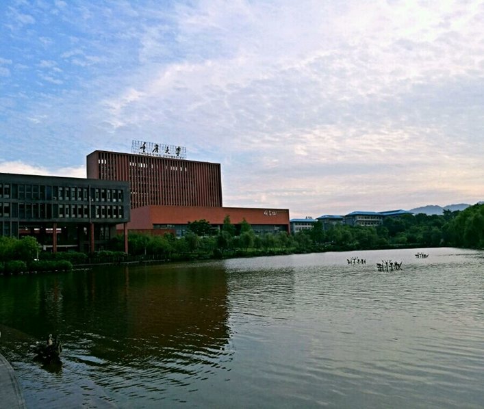 重大校友唐立新是谁？