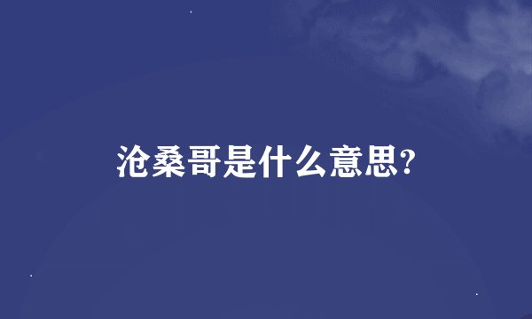 沧桑哥是什么意思?