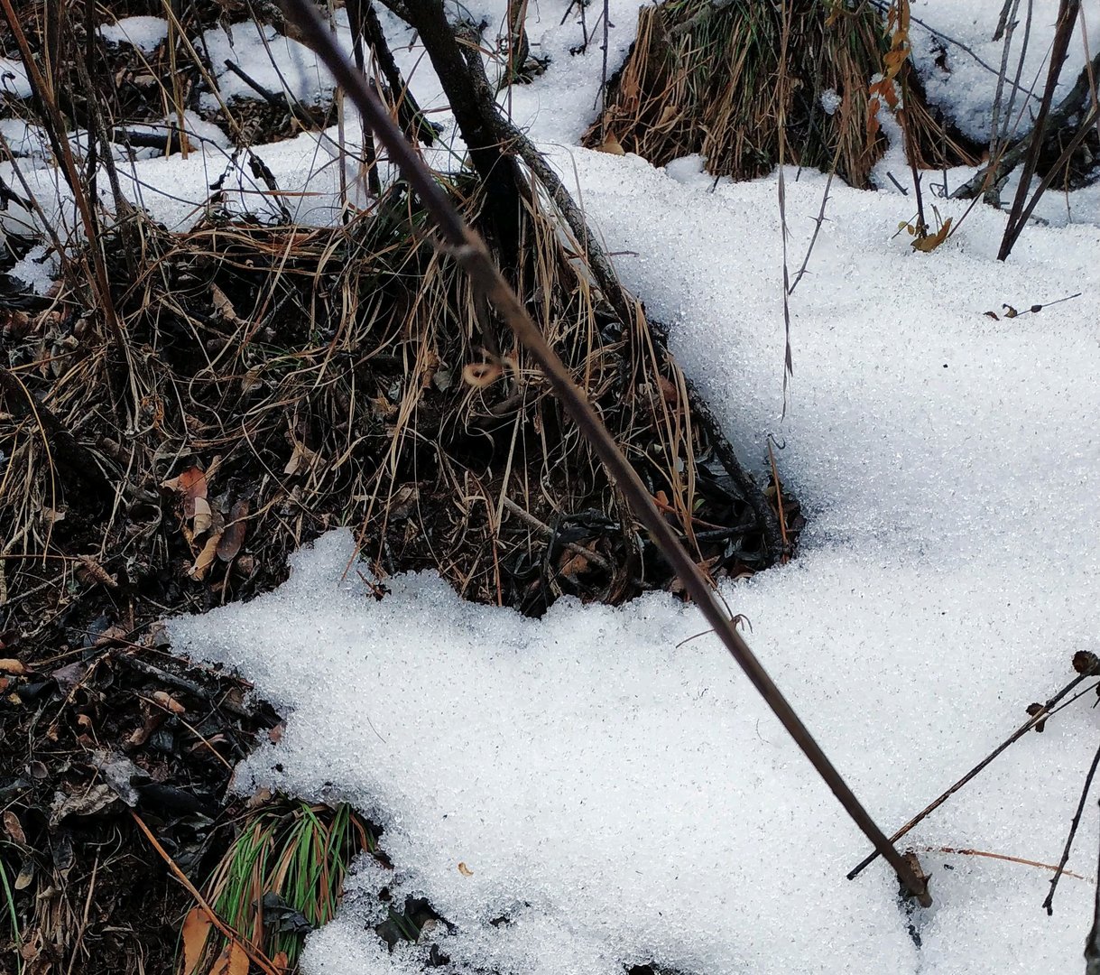 英文毕业证上这个词为什么是ing形式？