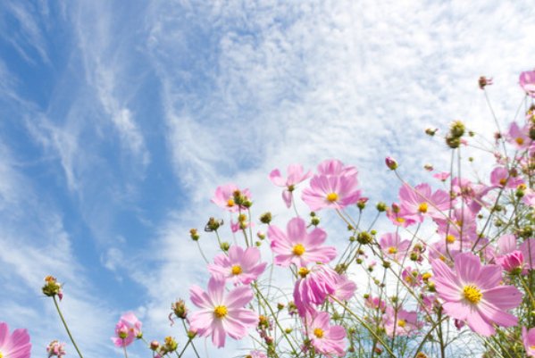 今天造句子一年级