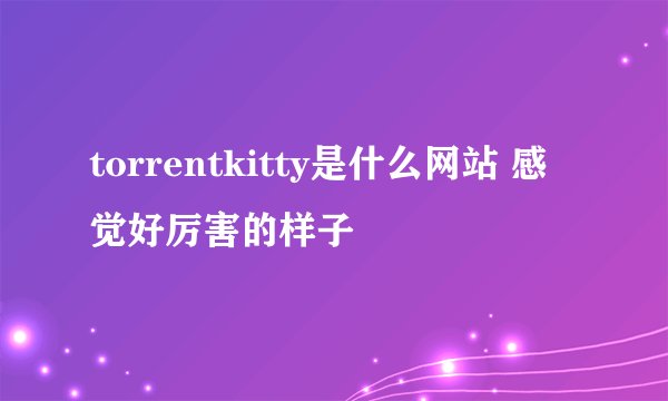 torrentkitty是什么网站 感觉好厉害的样子