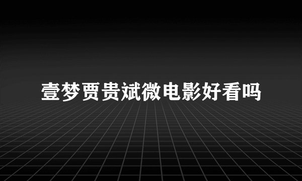 壹梦贾贵斌微电影好看吗