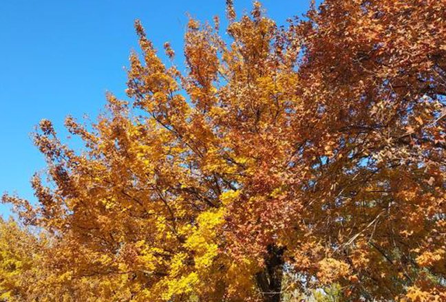 你知道吗 秋高气爽中的秋高通常指的是