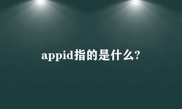appid指的是什么?