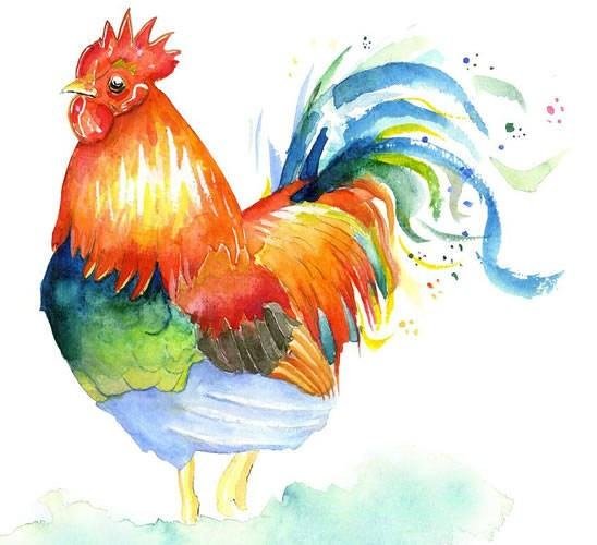 狗急跳墙的生肖是什么呢？