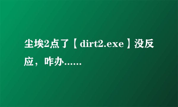 尘埃2点了【dirt2.exe】没反应，咋办.......